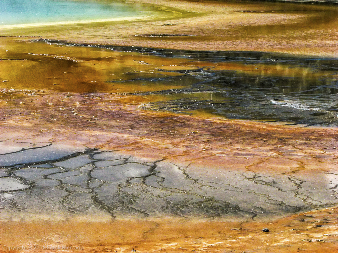 Landscape #5