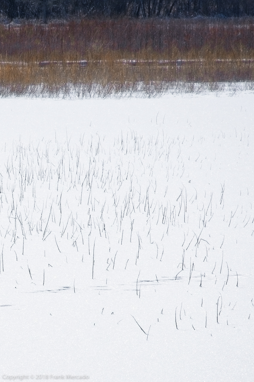 Landscape #12
