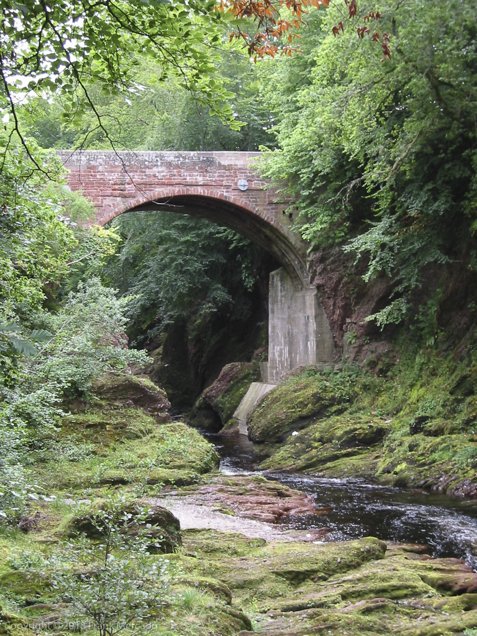 Man & Nature #1 (Gannochy Bridge)