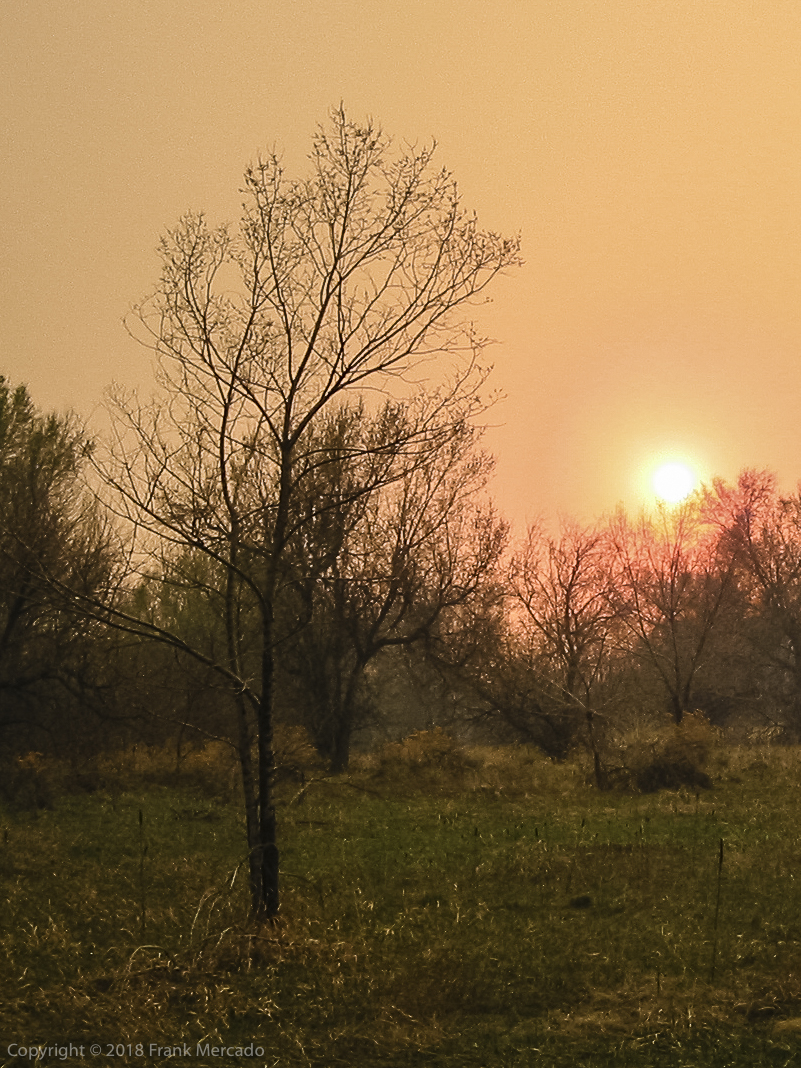 Man & Nature #7 (Fire in the High Country)