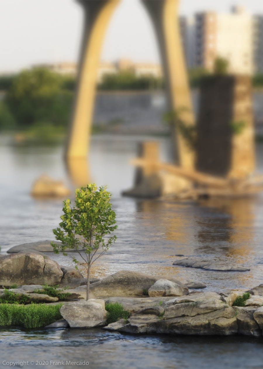 Man & Nature #10 (Standing Tall in the James)