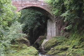 Man & Nature #1 (Gannochy Bridge)