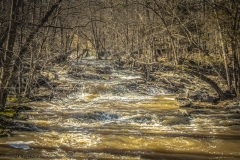 Man & Nature #12 (Newfound River at Rocketts Mill)