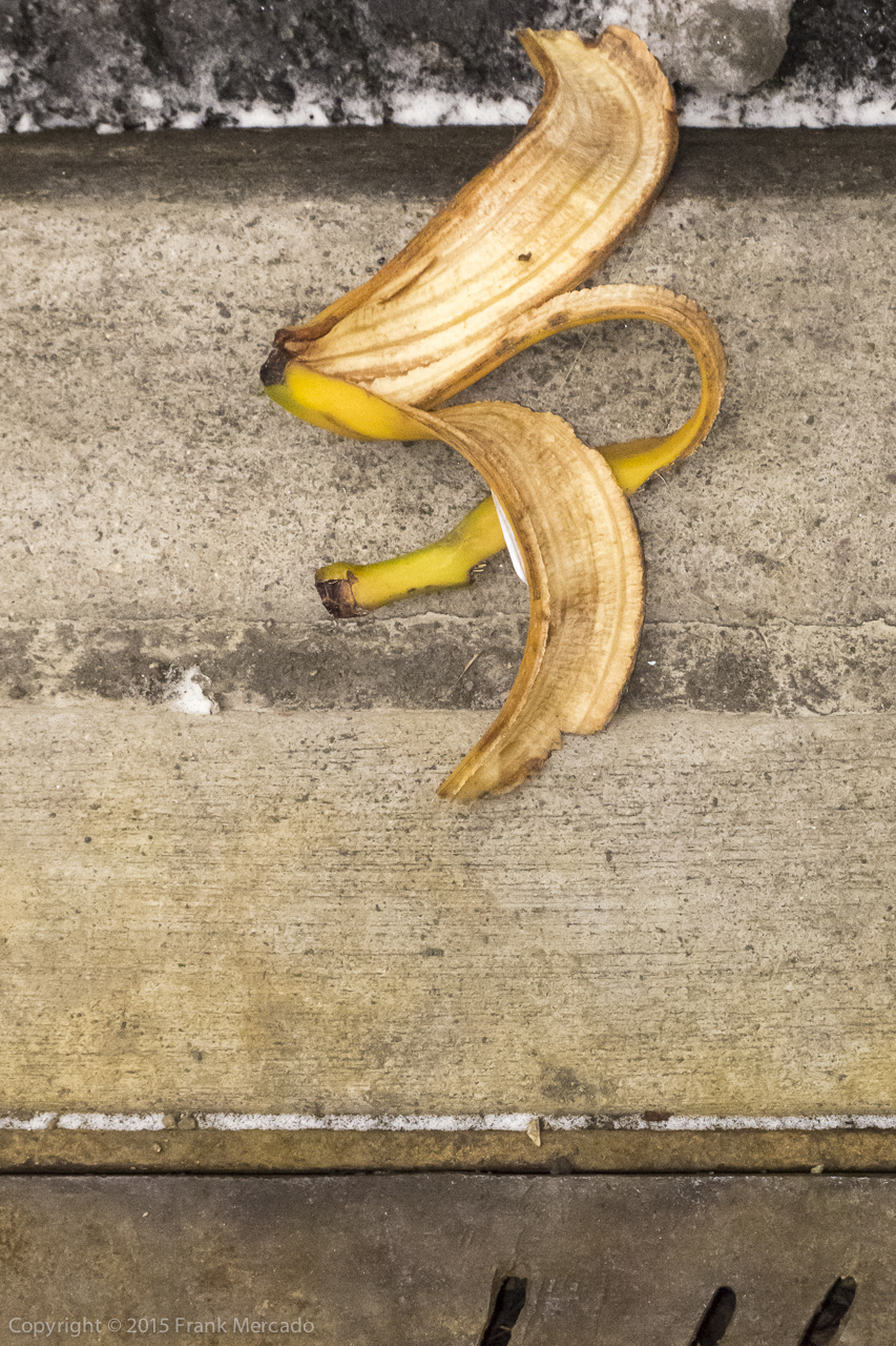 Street Wise #7 (Don't Tread On Me)
