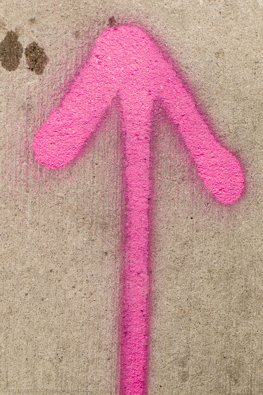Street Wise #9 (This Way)