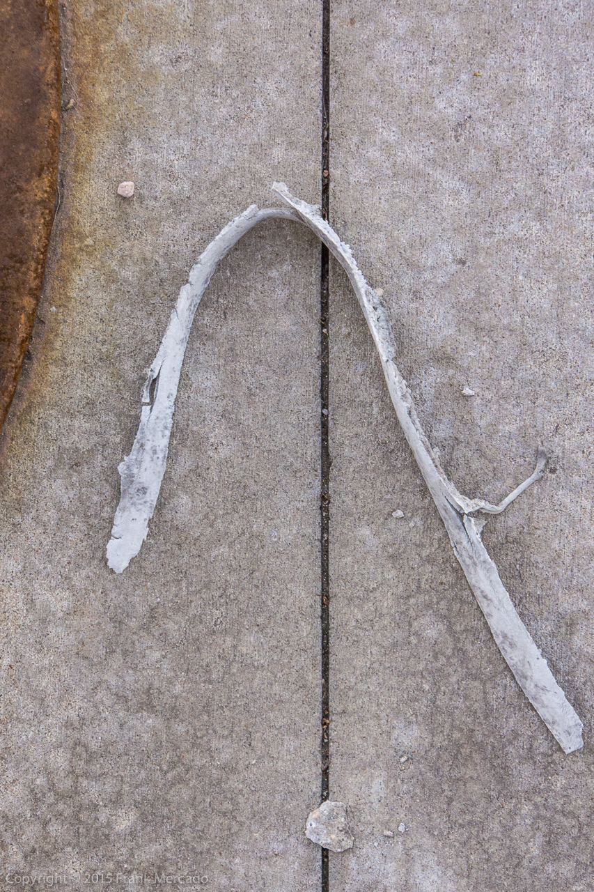 Street Wise #10 (Make a Wish)