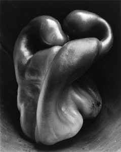 Pepper No. 30, Edward Weston, 1930
