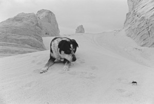 Chuck Forsman, Near Tooele, Utah, 2000